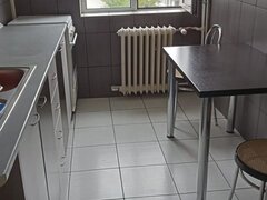 Camil Ressu 3 cam
